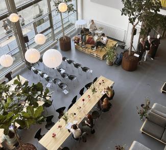 Gerflor bilde av fellesareal tatt ovenfra med DLW Linoelum gulv på Kolding designskole Danmark