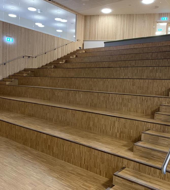 bilde av sitteplassene i et auditorium