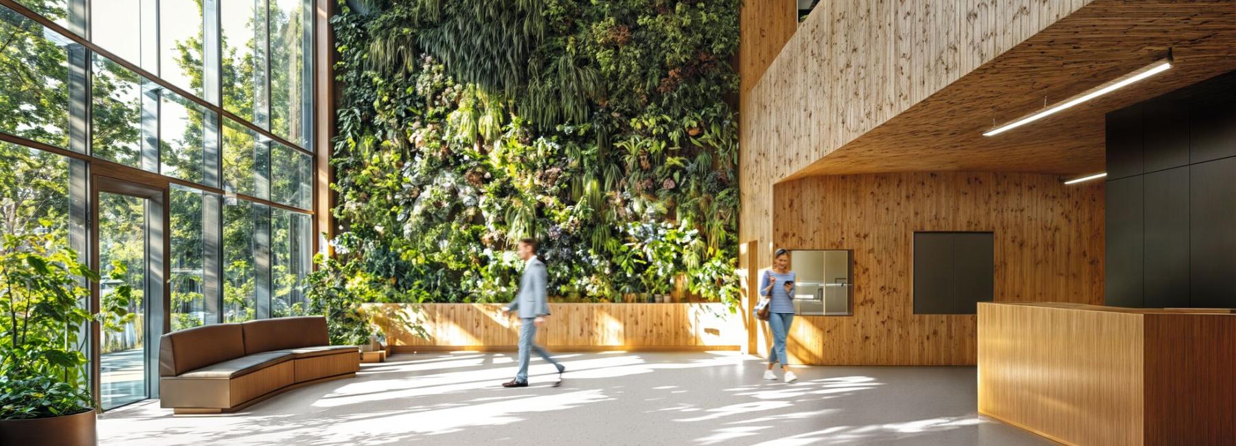 premium zero cocoon muslin