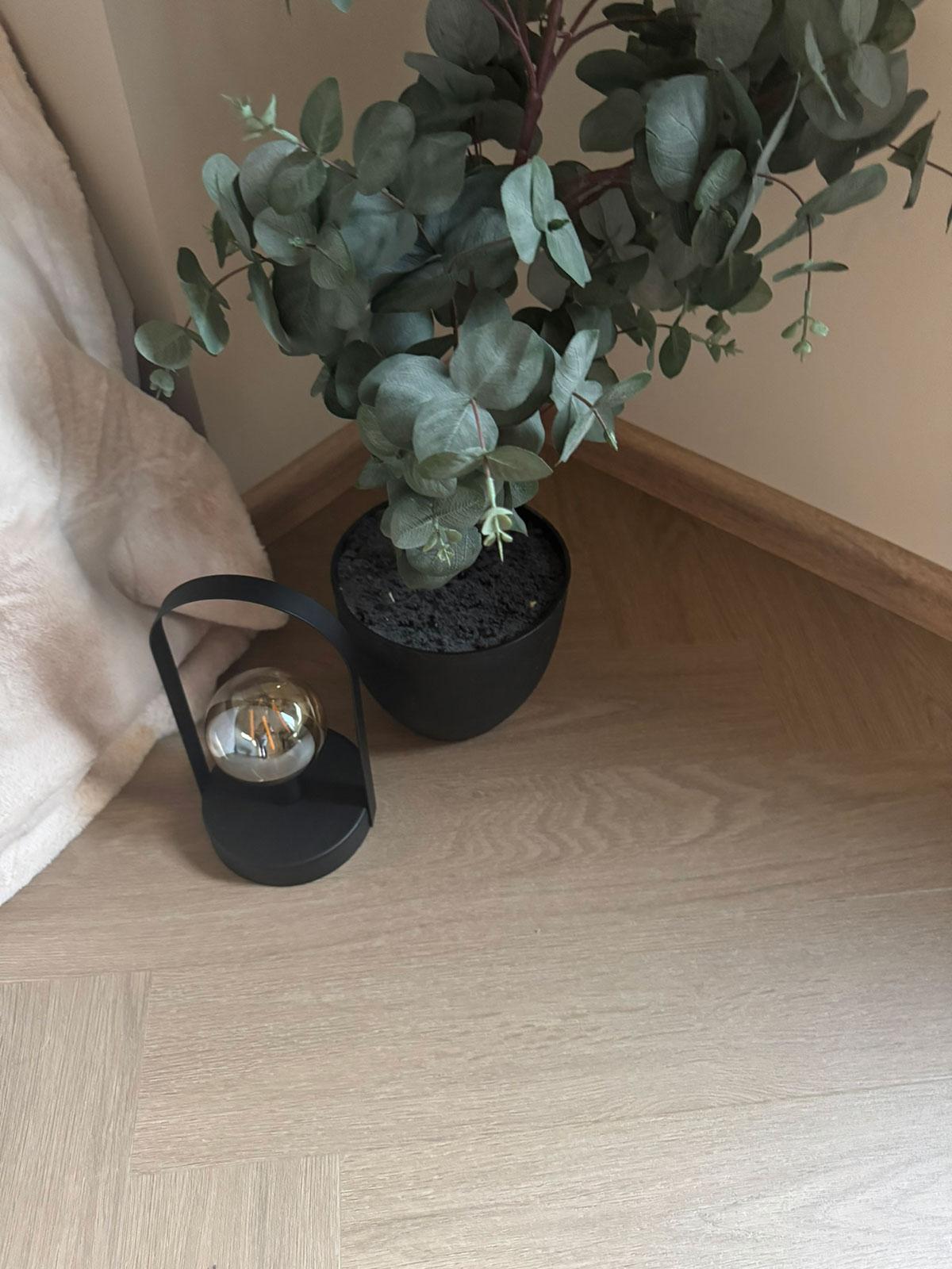 Lyst LVT-gulv i fiskebensmønster, vist med en sort potteplante og en moderne bordlampe som skaper et varmt og elegant interiøruttrykk.