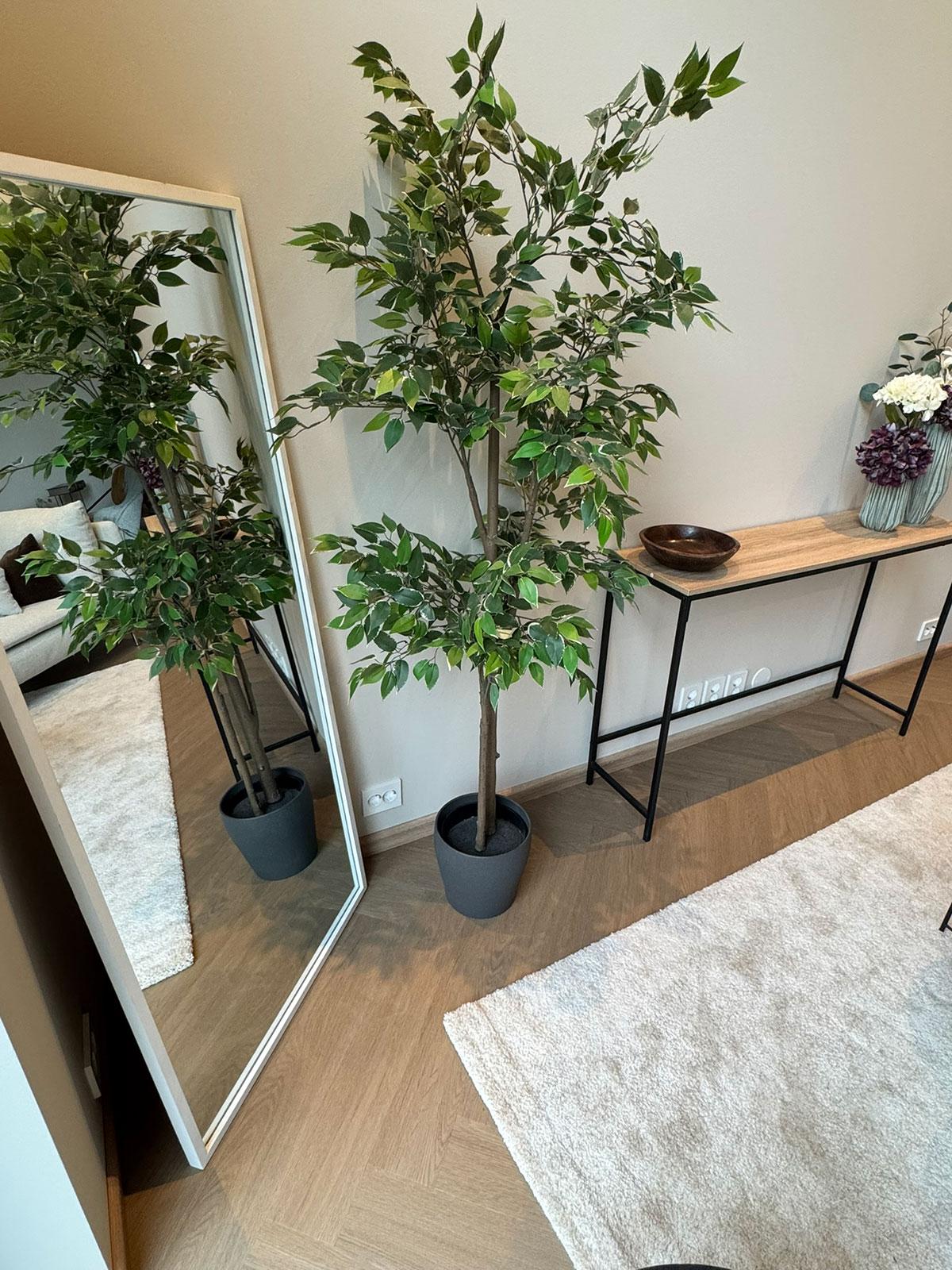 LVT-gulv i lys eikefarge lagt i fiskebensmønster, vist i et moderne stueinteriør med speil, grønn plante og konsollbord i sort metall og tre.