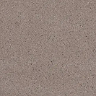 TARASAFE STANDARD - Grizzly