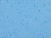 Mipolam Planet 5426 Shadow