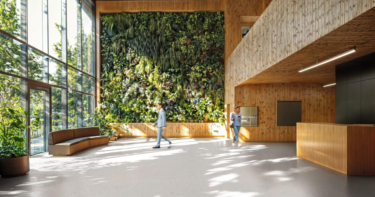 premium zero cocoon muslin