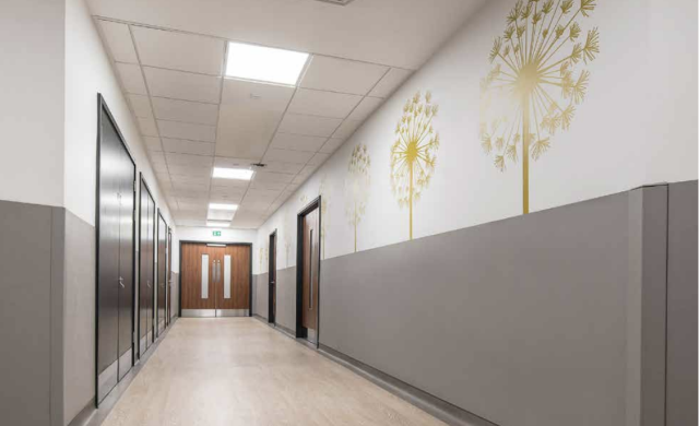 Sure Protect Endure Plus